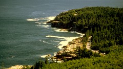 Sea roads USA national park forests acadia