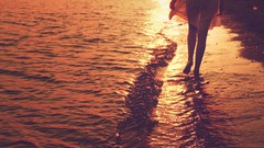 Sea Situations coast woman Beaches outdoors