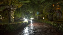 Sea sun ocean Beaches dominican republic Caribbean Sea