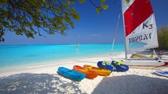 Sea swimming Beaches resort travel blue skies water skiing
