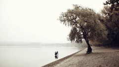 Sea Trees water Beaches overcast The Guy lone man