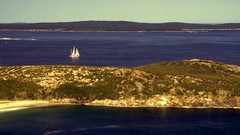 Sea USA national park acadia sail boat