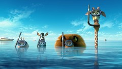 Sea water Movies Madagascar Europe Giraffes funny Lions zebras 
