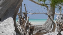 Sea water ocean Majestic flying white sand Bahamas Beaches new 