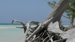 Sea water ocean Majestic flying white sand Bahamas Beaches new 