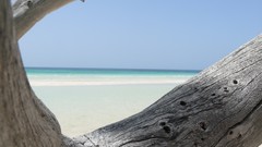 Sea water ocean Majestic flying white sand Bahamas Beaches new 