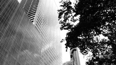 Sea water ocean Majestic flying white sand Bahamas Beaches new 