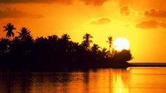 Sea water sun palm trees Tahiti silhouettes Moorea