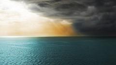 Sealife Galaxy Nexus