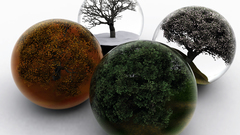 Seasons four seasons