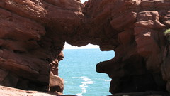 Seaton cliffs nature trail