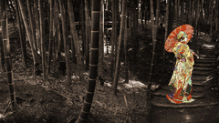 See Other People work