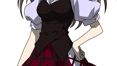 Seitokai no ichizon anime