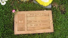 Senna grave Today high