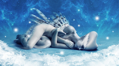 Serenade found pretty one