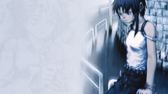 Serial experiments lain Experiment