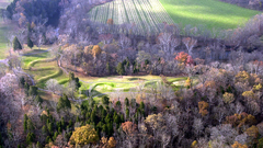 Serpent snake form nature