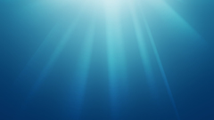 Seven shine abstract