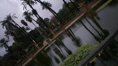 Seville nature Palms water
