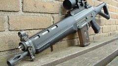 SG550 weapons Guns