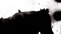 Shadow colossus shore of