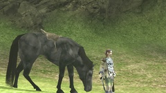 Shadow of the Colossus