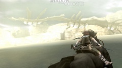 Shadow of the Colossus