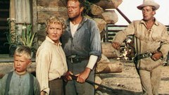 Shane still pk internets