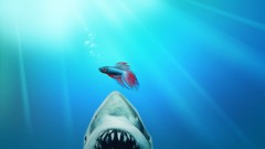 Sharks Jaws underwater