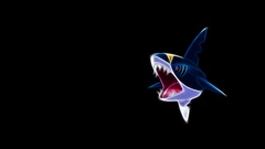 Sharpedo Pokemon