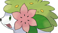 Shaymin Anime Pokemon black