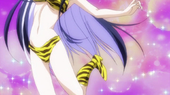 Shdzuku lynx thank You