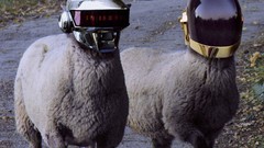 Sheep funny daft punk helmets Photo manipulation llama