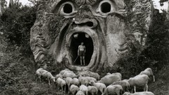 Sheep Italy shepherd Rural grayscale old photography Herbert 