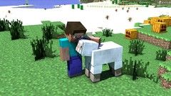 Sheep minecraft steve cinema 4d tapeta