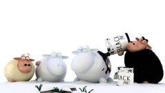 Sheep white background Shaun