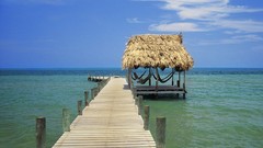 Shelter tropical belize