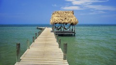 Shelter tropical belize