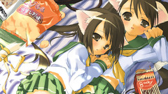 Shimapan Manga Anime