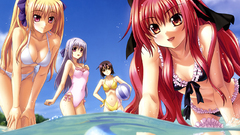 Shinkyoku soukai polyphonica corticarte