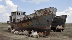 Ships Camels wreckage shipwrecks deserts