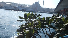 Ships Istanbul Bridges mosques sunay