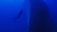 Ships wrecks shipwrecks vehicles