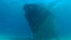 Ships wrecks shipwrecks vehicles