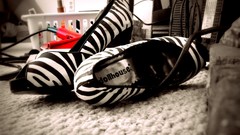 Shoes flatiron zebra print