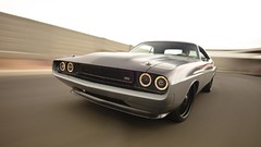 Shop roadster dodge challenger 1970 muscle cars