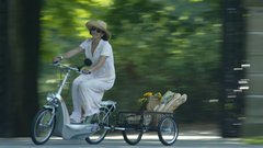 Shopping trailer high