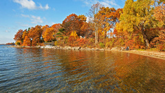 Shore lakes Landscapes Trees