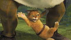 Shrek cartoons animation puss in boots
