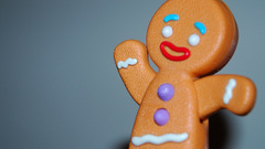 Shrek Gingerbread man